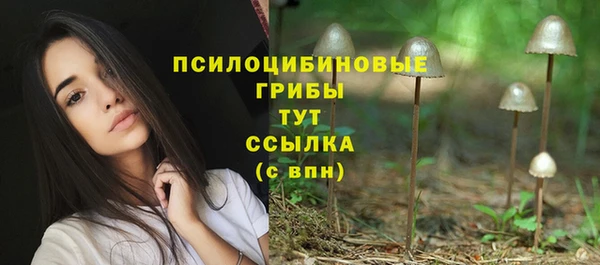 индика Баксан