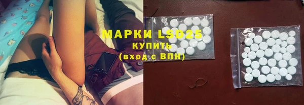 индика Баксан