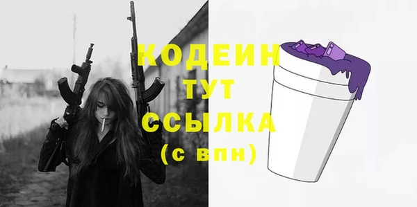индика Баксан